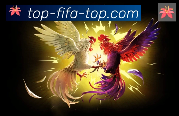 美加墨世界杯买球官方网站全站App 美加墨世界杯买球官方网站全站App